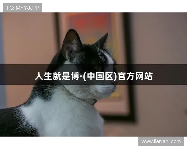 尊龙网站上的人生就是博,解析游戏背后的智慧 尊龙网站上的人生就是博,解析游戏背后的智慧