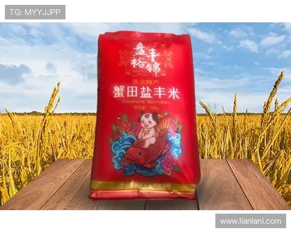 凯时尊龙app官网登录入口网址2024年最新版本,提供便捷快速的登录通道 凯时尊龙app官网登录入口网址2024年最新版本,提供便捷快速的登录通道