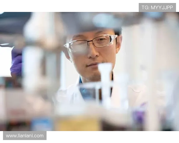 z6尊龙集团的财务状况与投资潜力全面评估 z6尊龙集团的财务状况与投资潜力全面评估