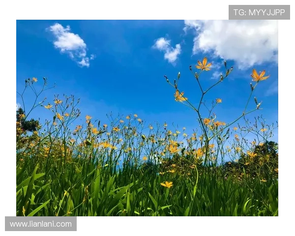 尊龙凯时人生就是博：用游戏心态面对人生起伏，找到属于自己的平衡点